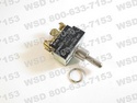 TOGSW DPDT CENMO2 10A250V