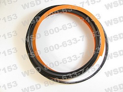 PISTON SEALKIT 8''''BORE=PARKE