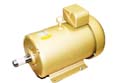 25HP 2P TEFC UNIVOLTS