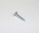 SCREW-TRHDCR,10ABX1
