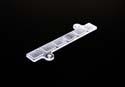 WINDOW-CYCLE LEDS
