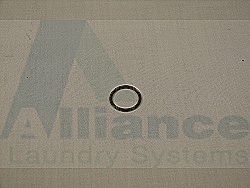O-RING,SPRAY RINSE