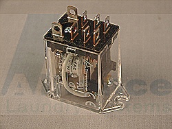 RELAY 24V/50-60HZ